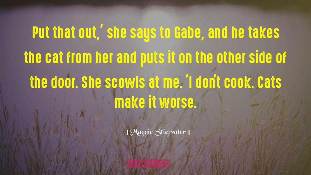 Gabe Bridgewater quotes by Maggie Stiefvater