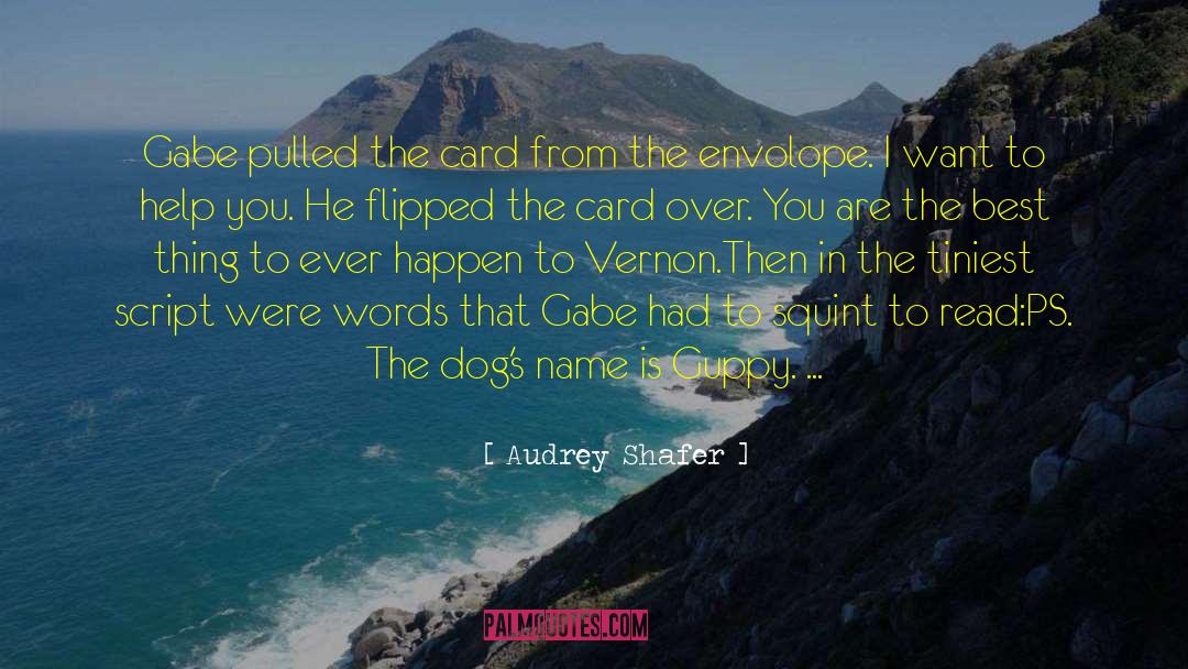 Gabe quotes by Audrey Shafer