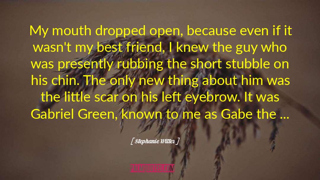 Gabriel Duke quotes by Stephanie Witter