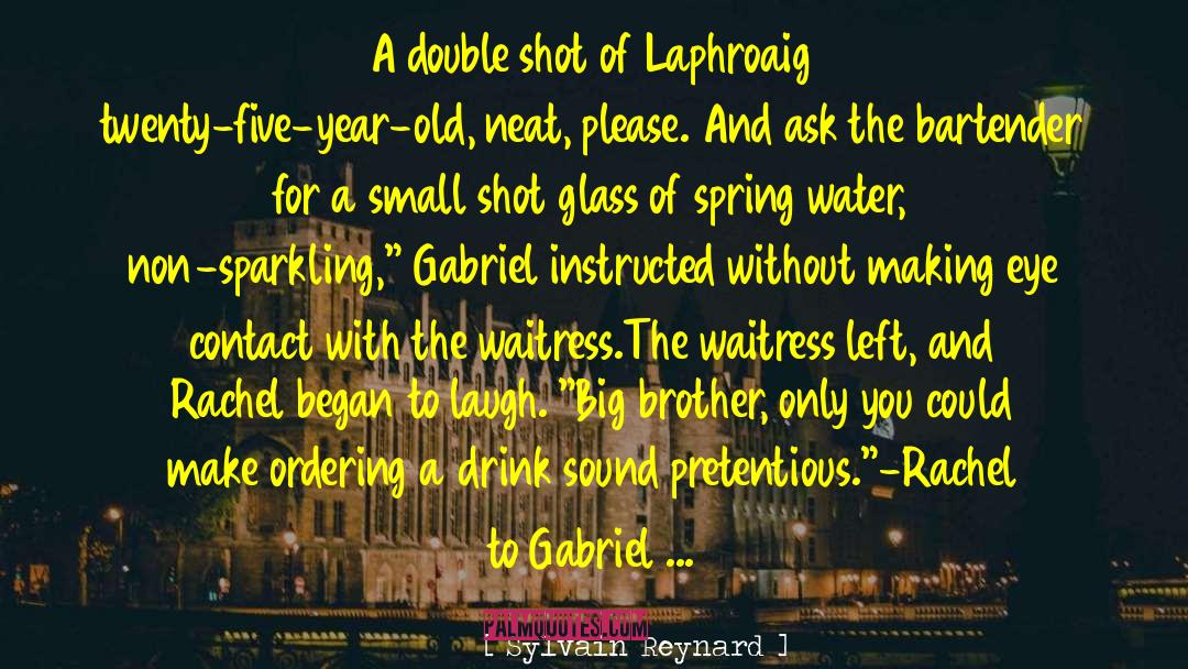 Gabriel S Inferno quotes by Sylvain Reynard