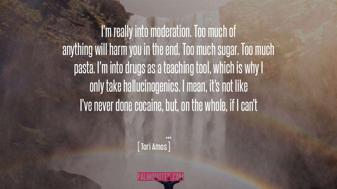Gabz Tool quotes by Tori Amos
