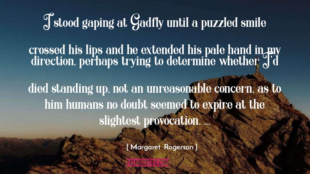 Gadfly quotes by Margaret  Rogerson