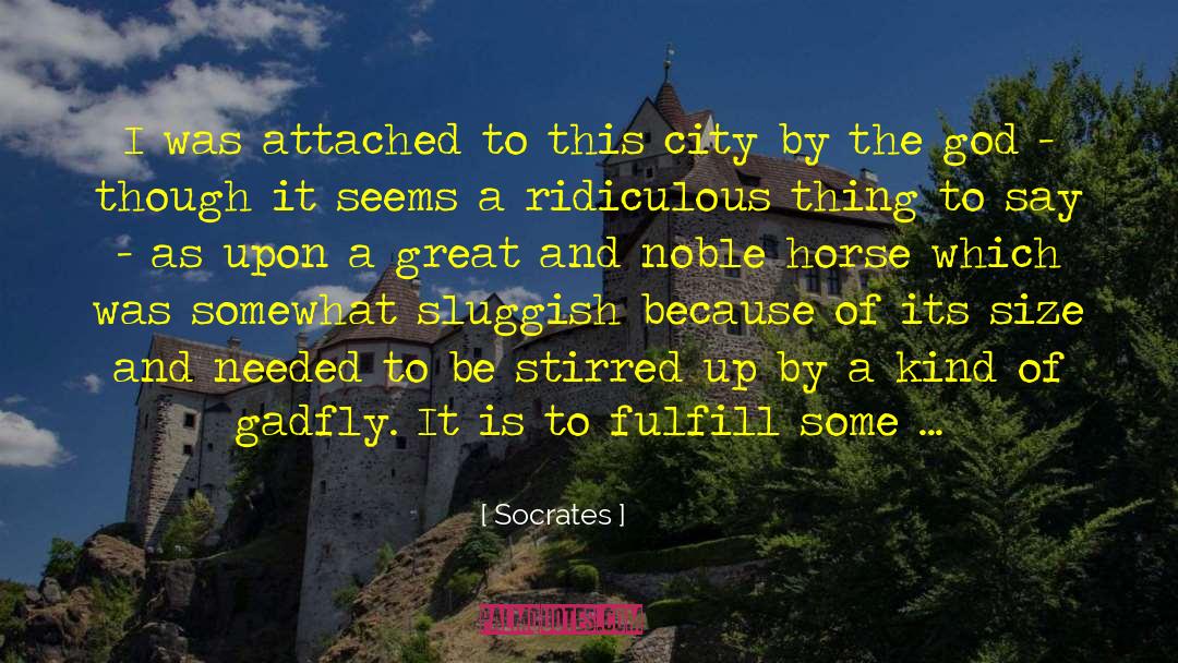 Gadfly quotes by Socrates