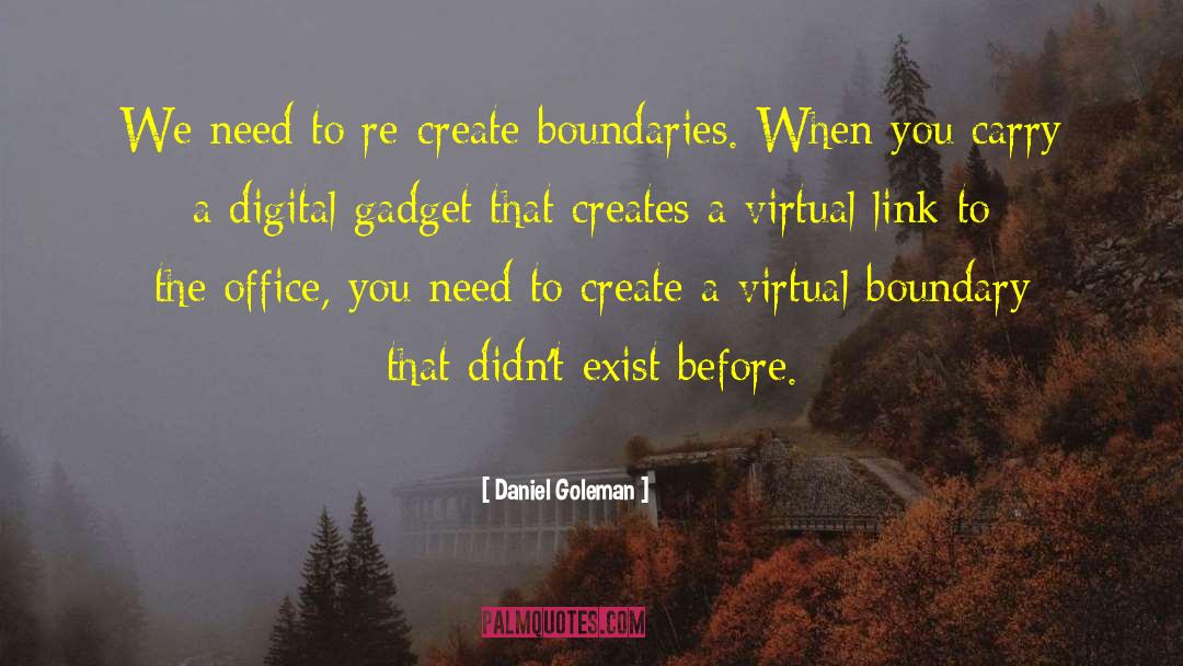 Gadget quotes by Daniel Goleman