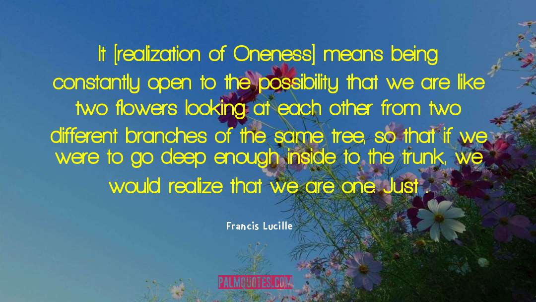 Gaia quotes by Francis Lucille
