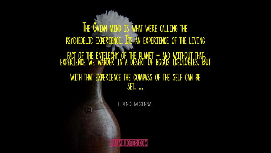 Gaian Mind quotes by Terence McKenna