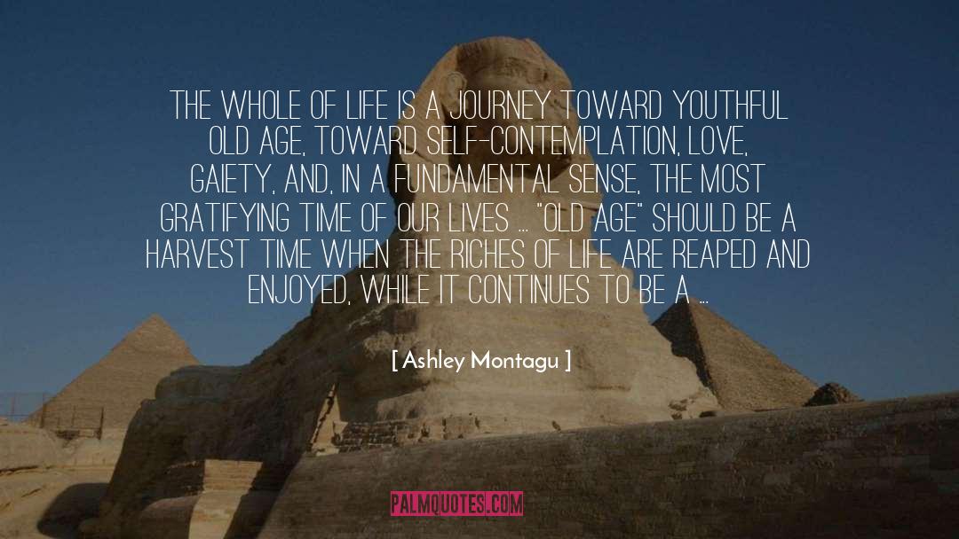 Gaiety quotes by Ashley Montagu