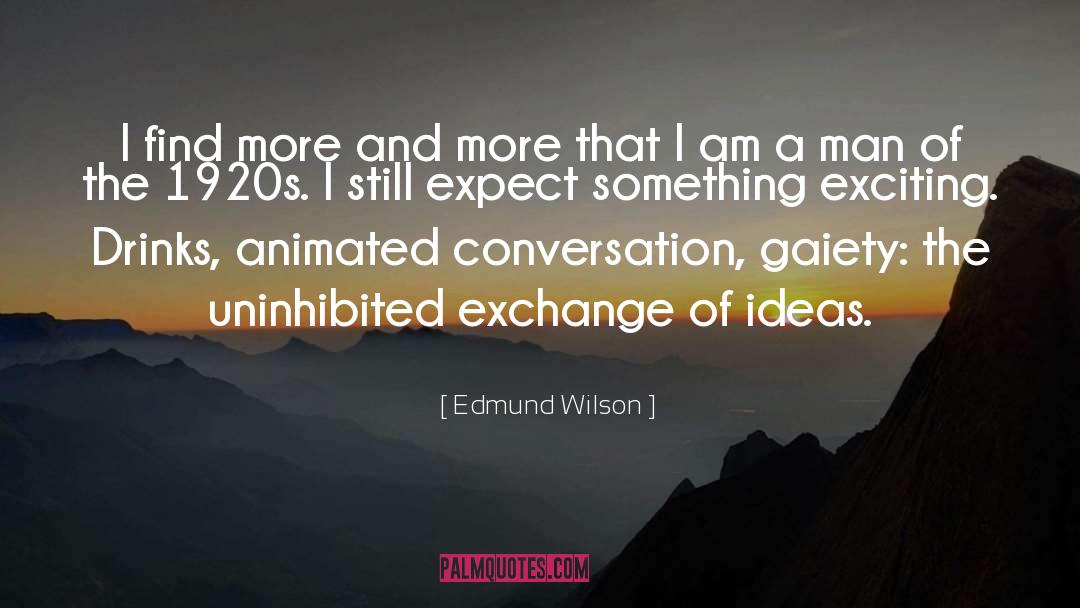 Gaiety quotes by Edmund Wilson