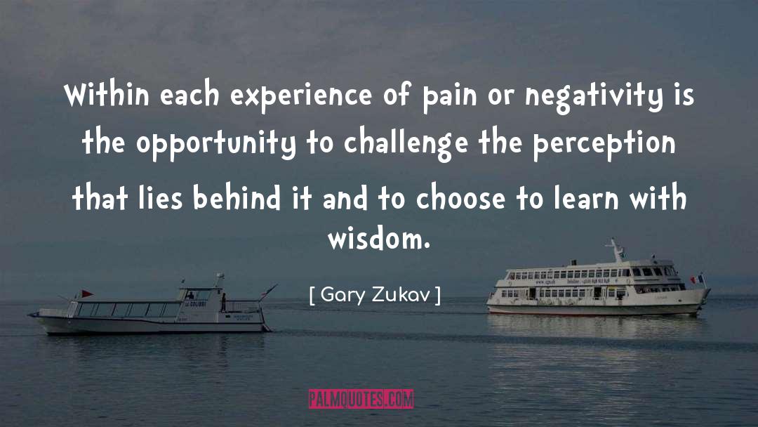 Gain Experience And Wisdom quotes by Gary Zukav