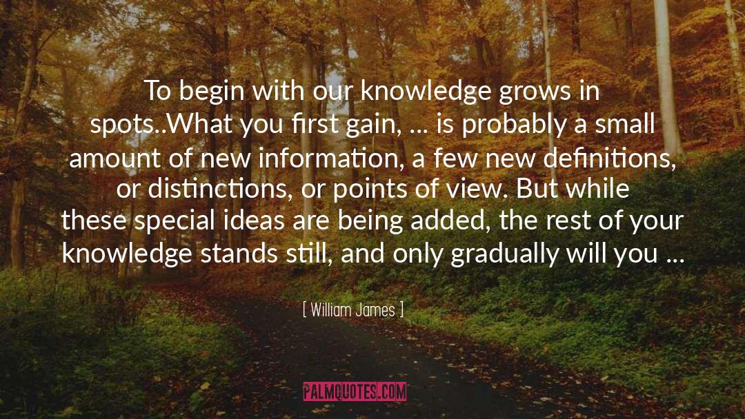 Gain Experience And Wisdom quotes by William James