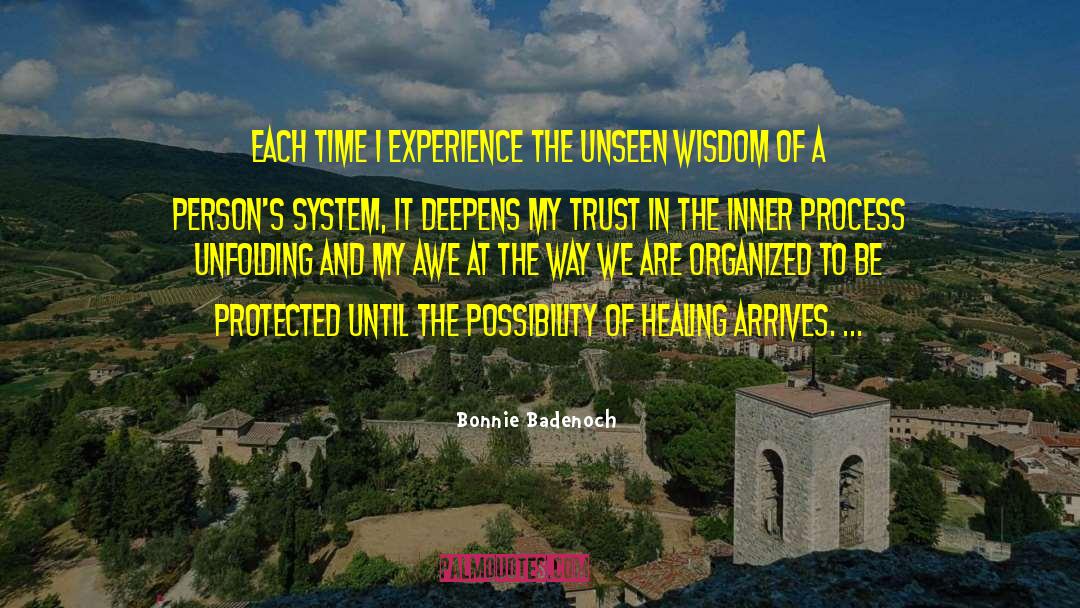 Gain Experience And Wisdom quotes by Bonnie Badenoch