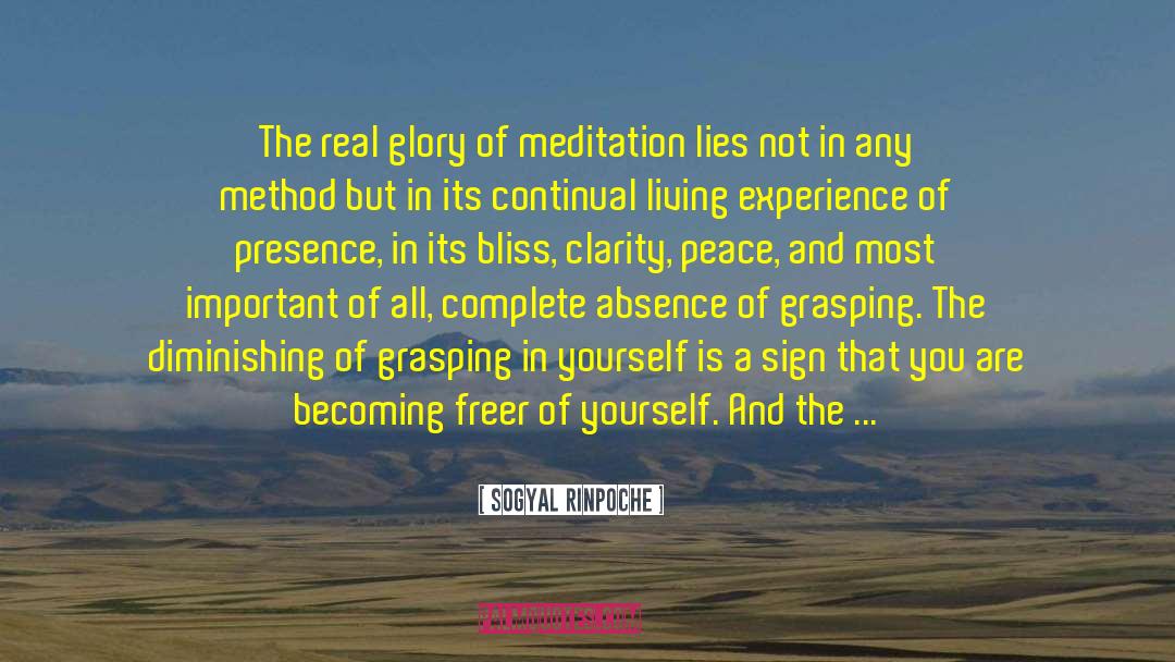 Gain Experience And Wisdom quotes by Sogyal Rinpoche