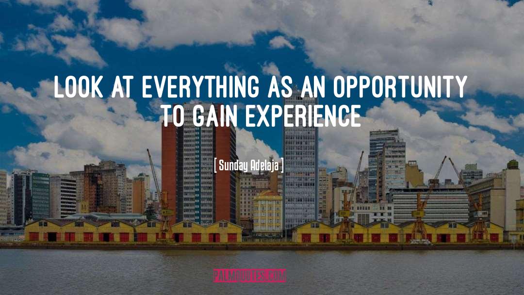 Gain Experience quotes by Sunday Adelaja