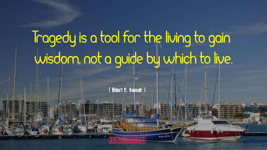 Gain Wisdom quotes by Robert F. Kennedy