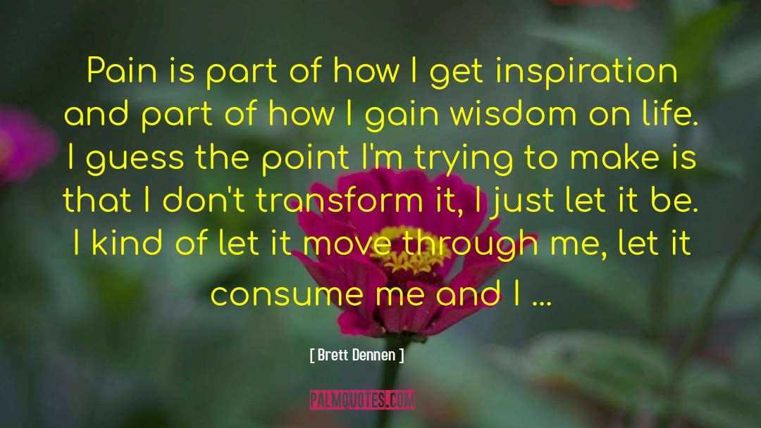 Gain Wisdom quotes by Brett Dennen