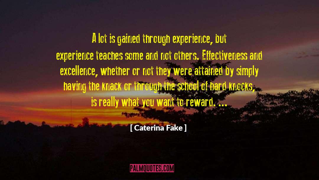 Gaining Experience quotes by Caterina Fake