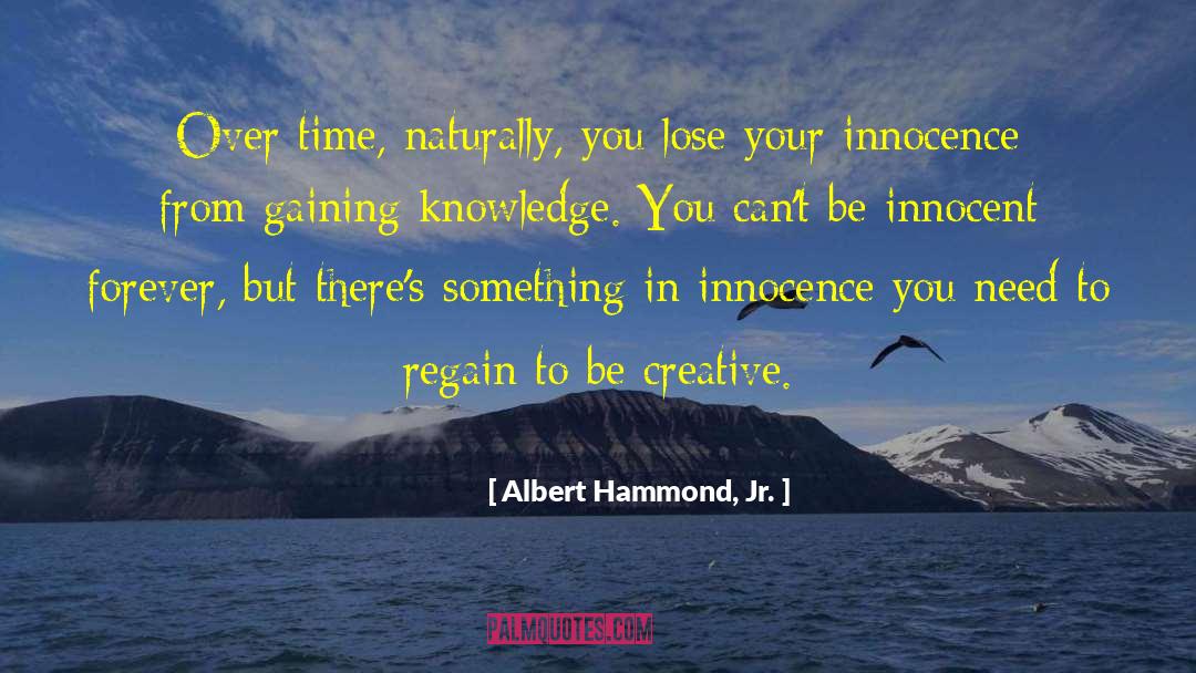 Gaining Knowledge quotes by Albert Hammond, Jr.