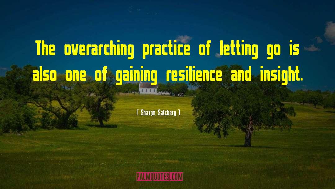 Gaining Respect quotes by Sharon Salzberg