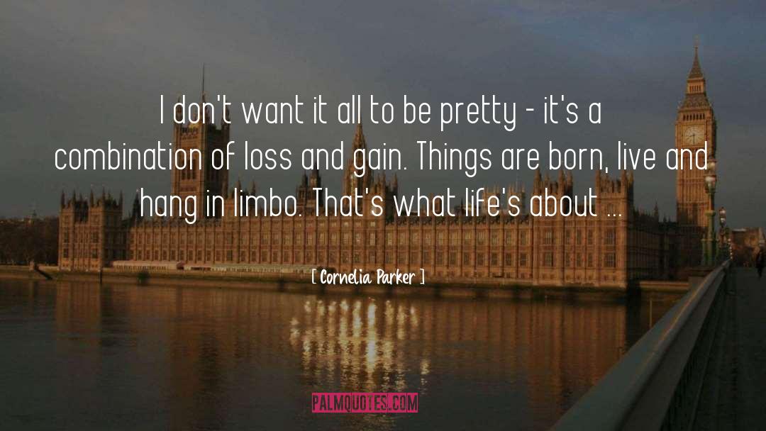 Gains quotes by Cornelia Parker