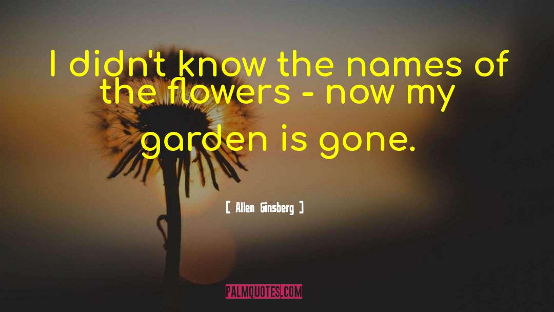 Galanda Flower quotes by Allen Ginsberg