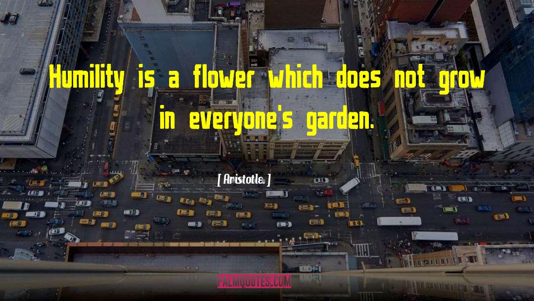 Galanda Flower quotes by Aristotle.