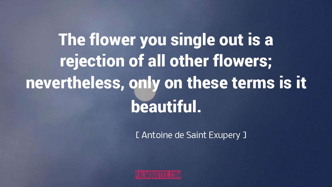 Galanda Flower quotes by Antoine De Saint Exupery
