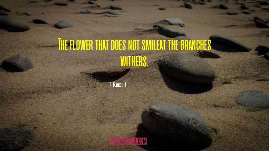 Galanda Flower quotes by Rumi