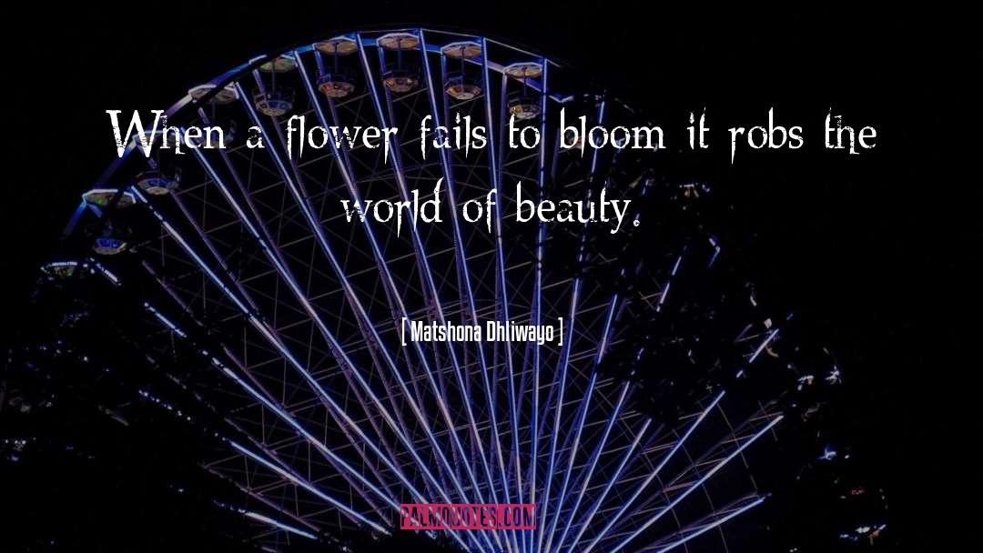 Galanda Flower quotes by Matshona Dhliwayo