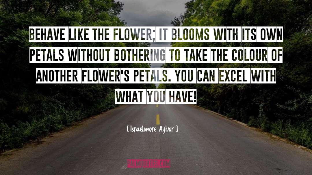 Galanda Flower quotes by Israelmore Ayivor