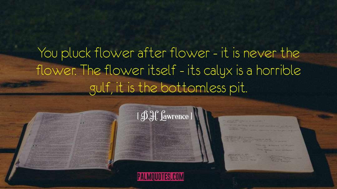 Galanda Flower quotes by D.H. Lawrence
