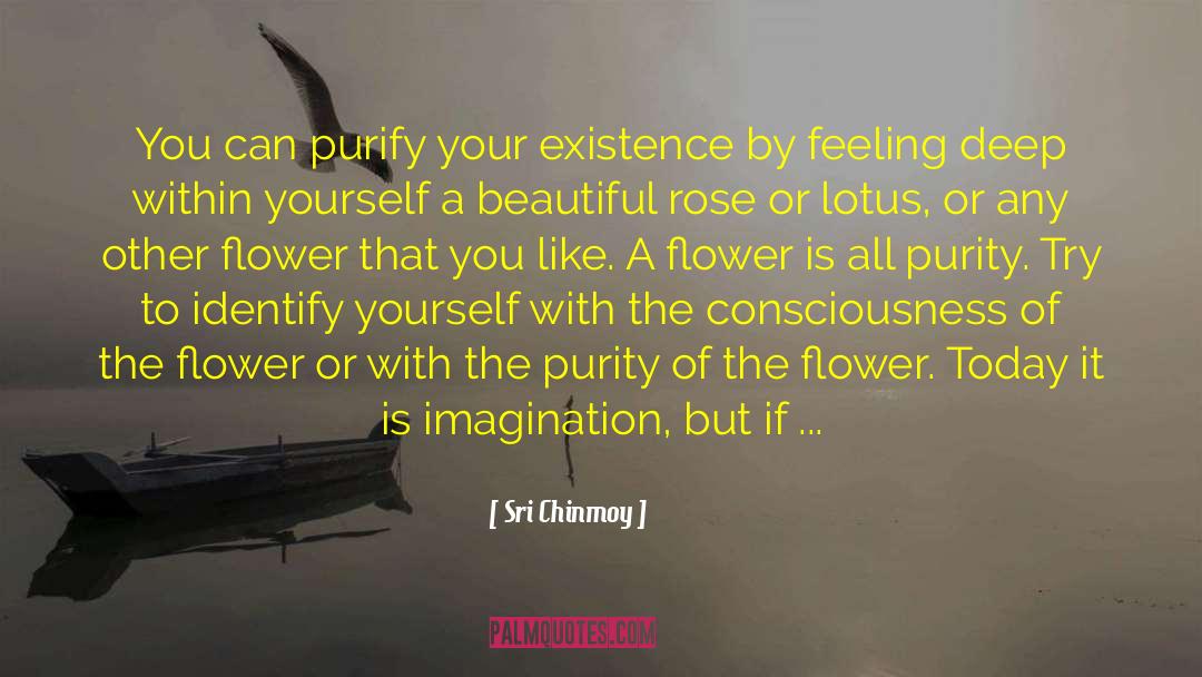 Galanda Flower quotes by Sri Chinmoy