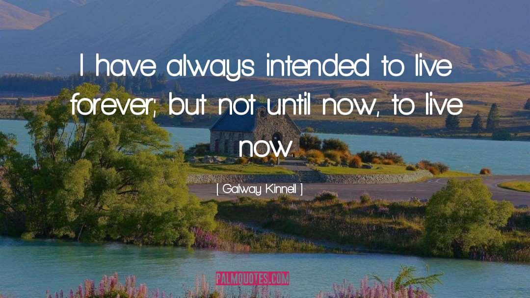 Galaway Kinnell quotes by Galway Kinnell