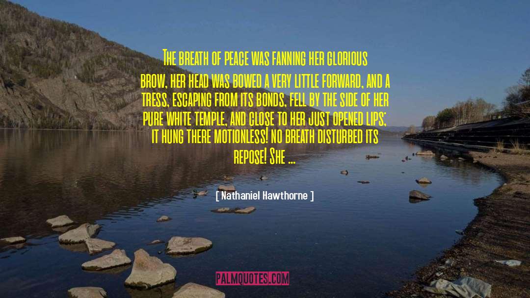 Gale Hawthorne quotes by Nathaniel Hawthorne