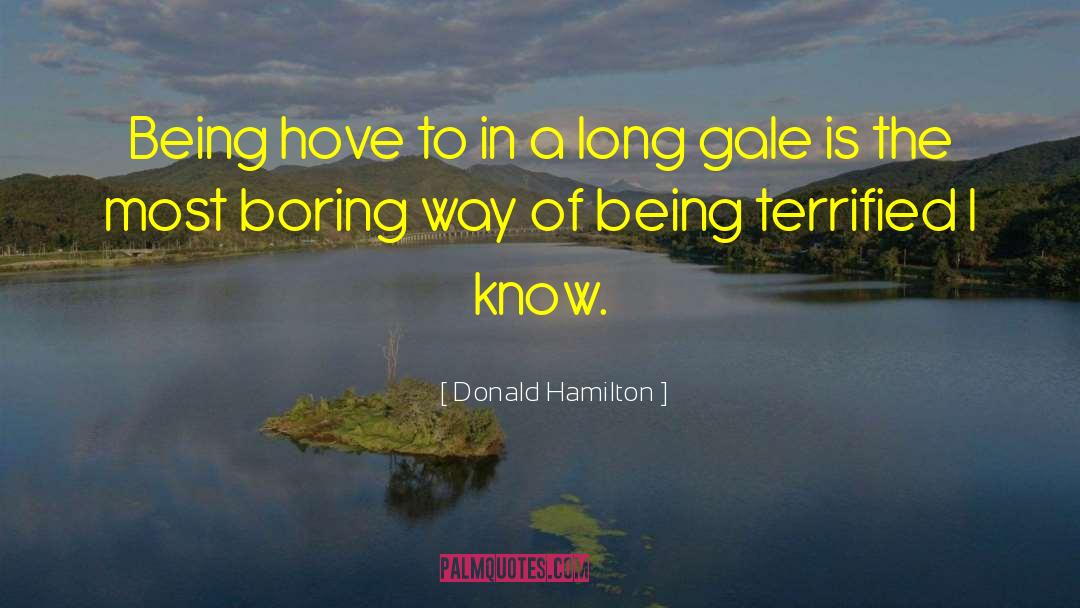 Gale Lag quotes by Donald Hamilton