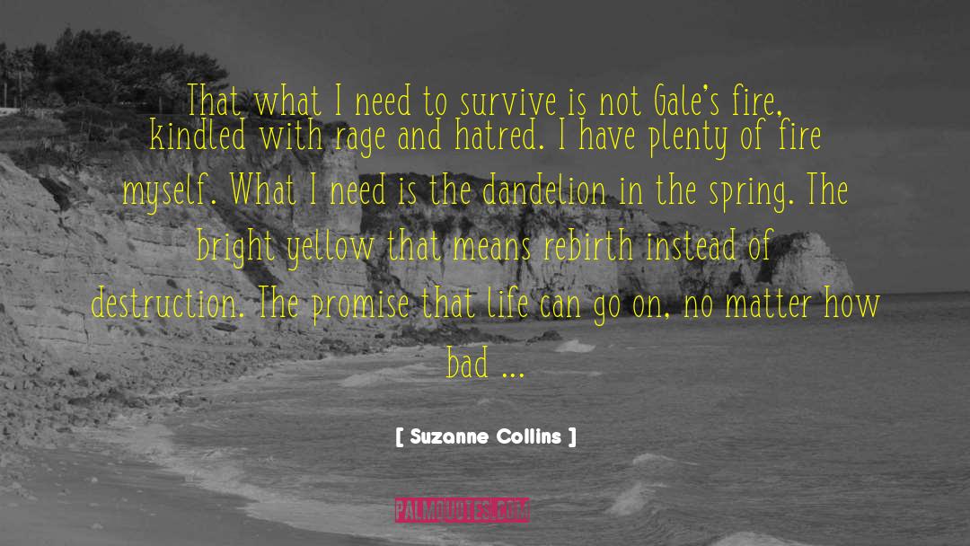 Gales quotes by Suzanne Collins