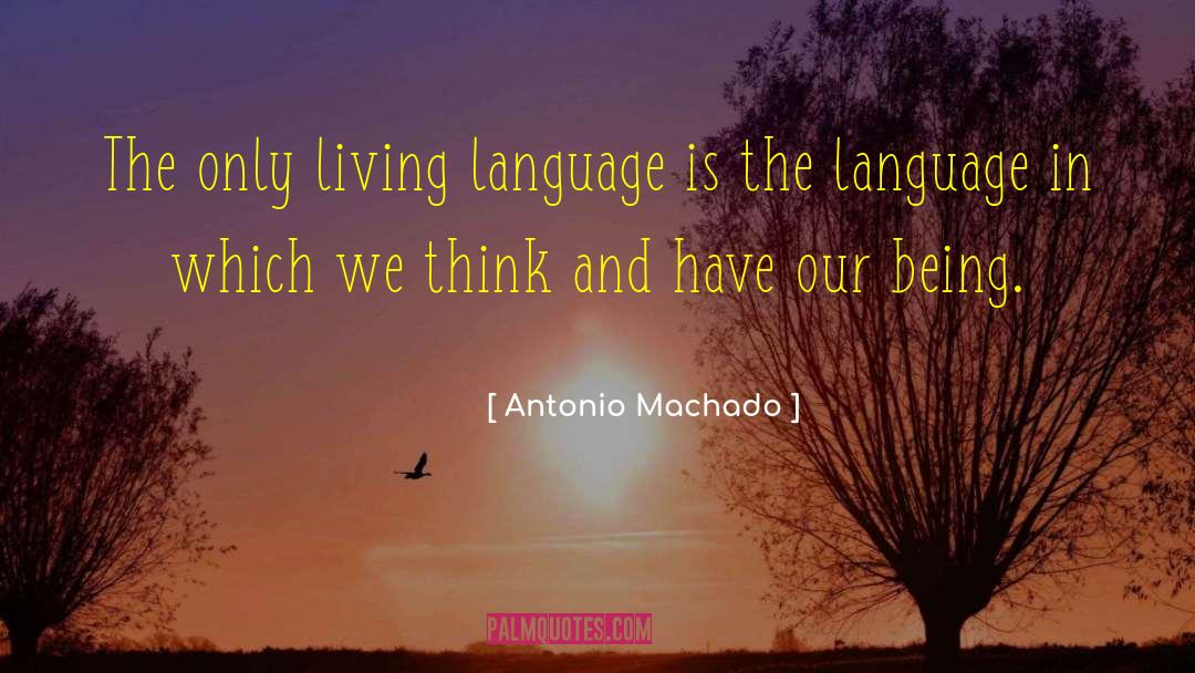 Galician Language quotes by Antonio Machado