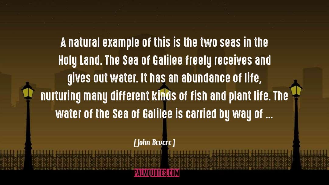 Galilee quotes by John Bevere