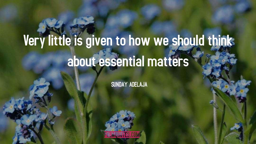 Galinskys Essential Life quotes by Sunday Adelaja