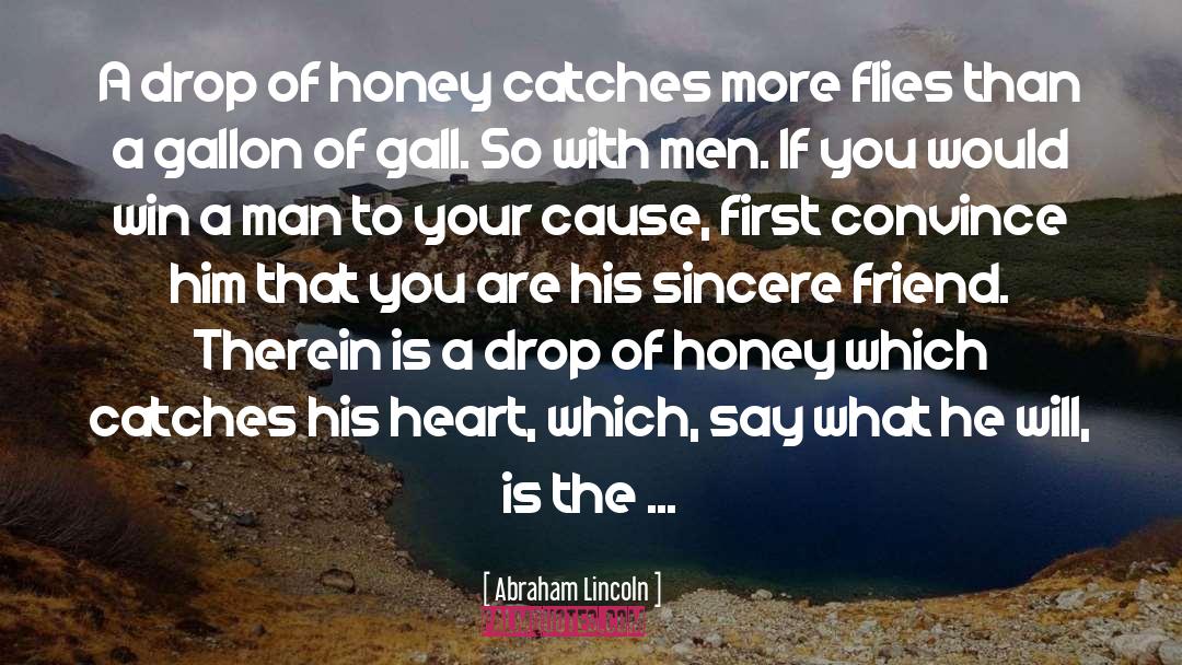 Gall quotes by Abraham Lincoln