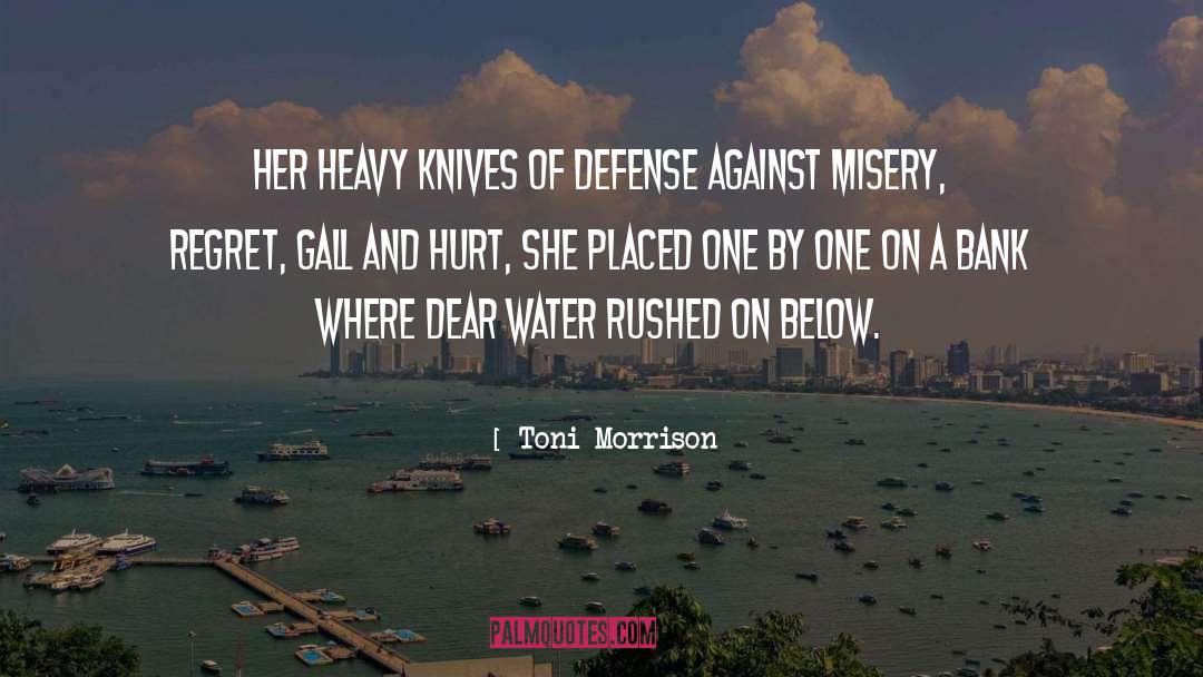 Gall quotes by Toni Morrison