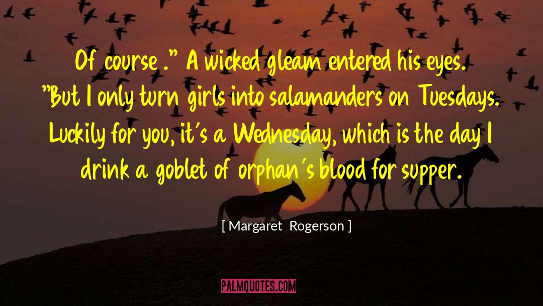 Gallager Girls Humor quotes by Margaret  Rogerson