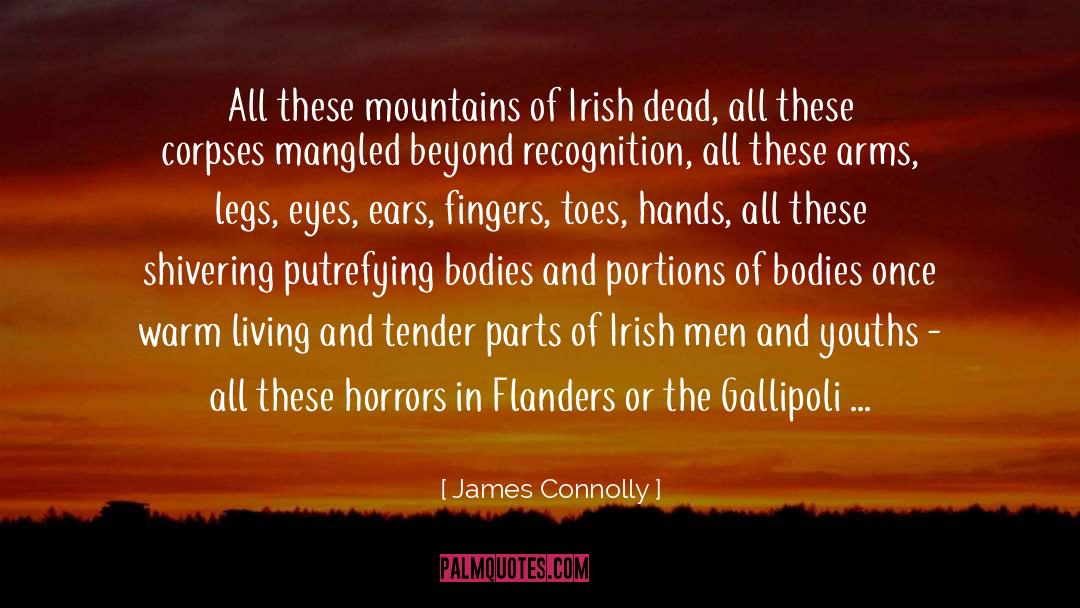 Gallipoli quotes by James Connolly