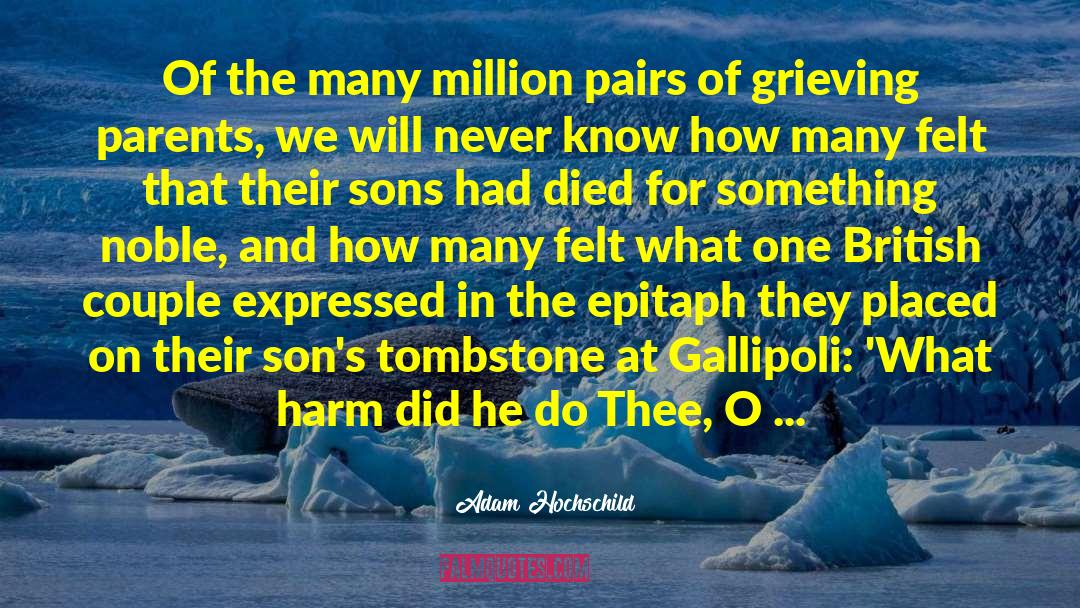 Gallipoli quotes by Adam Hochschild