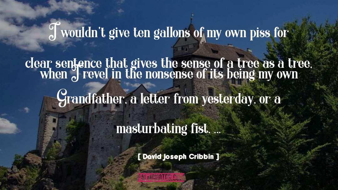 Gallons quotes by David Joseph Cribbin