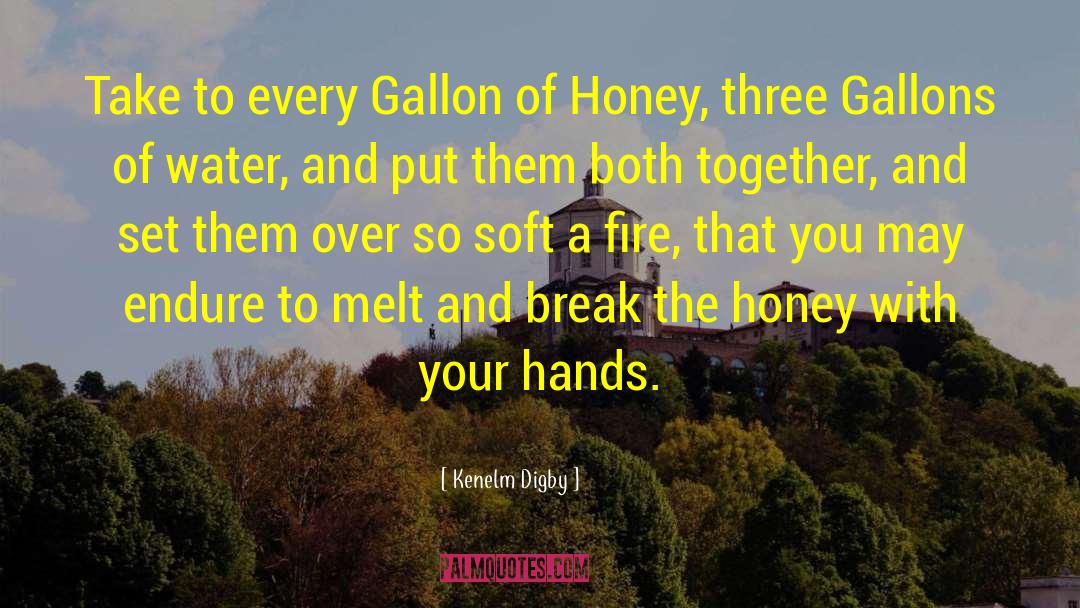 Gallons quotes by Kenelm Digby