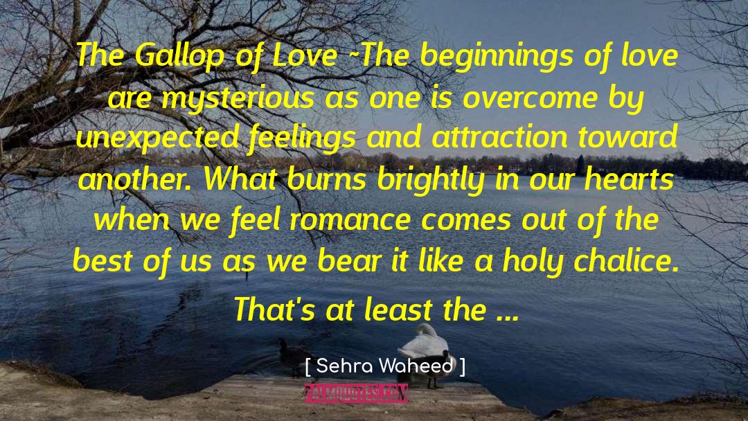 Gallop quotes by Sehra Waheed