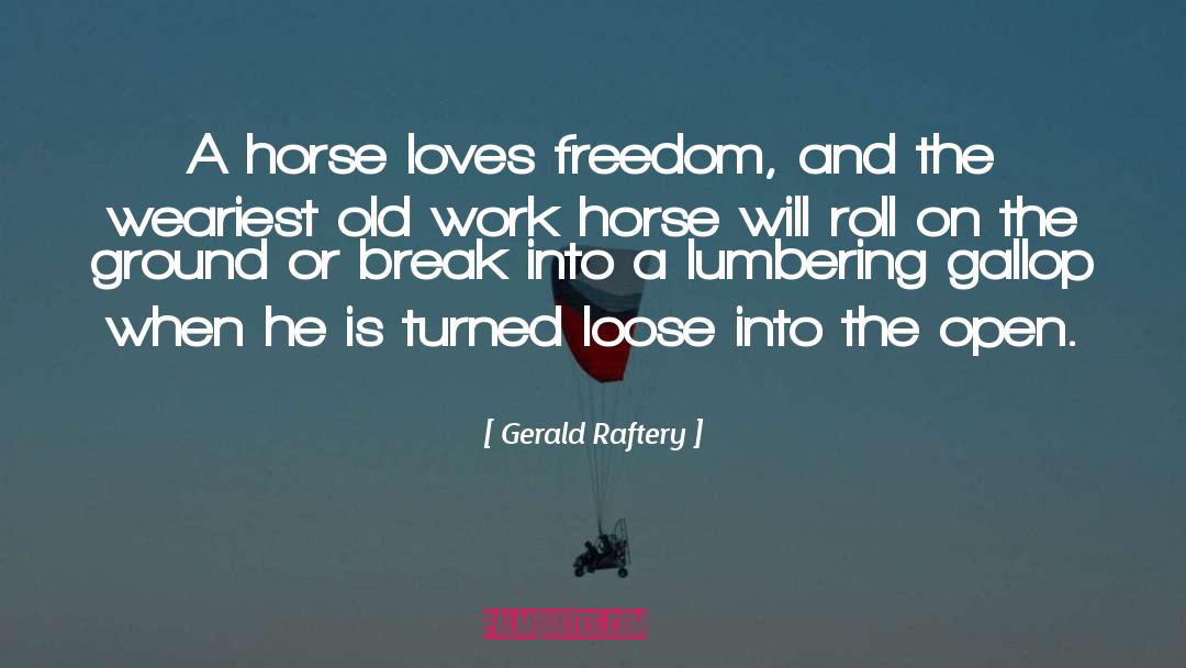 Gallop quotes by Gerald Raftery