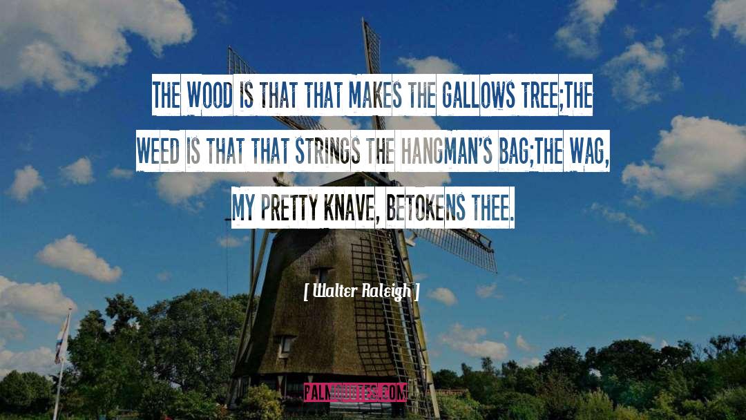 Gallows quotes by Walter Raleigh