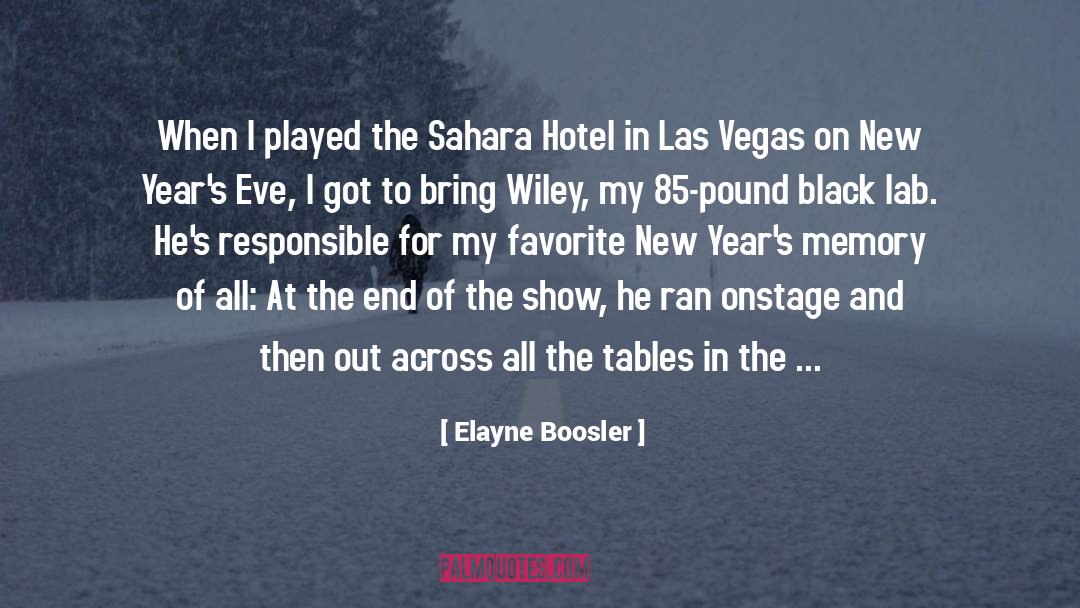 Gamblers quotes by Elayne Boosler