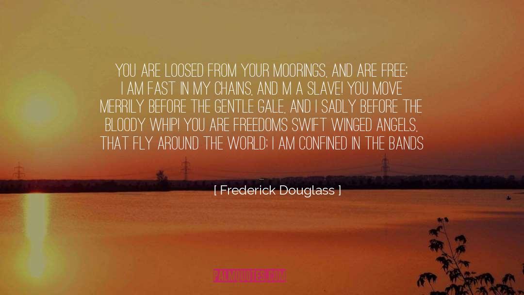 Gambolling Merrily quotes by Frederick Douglass